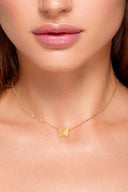 Collares