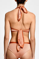Bikini Panty Básico Trisha Terra - 2618BF - Encantadore